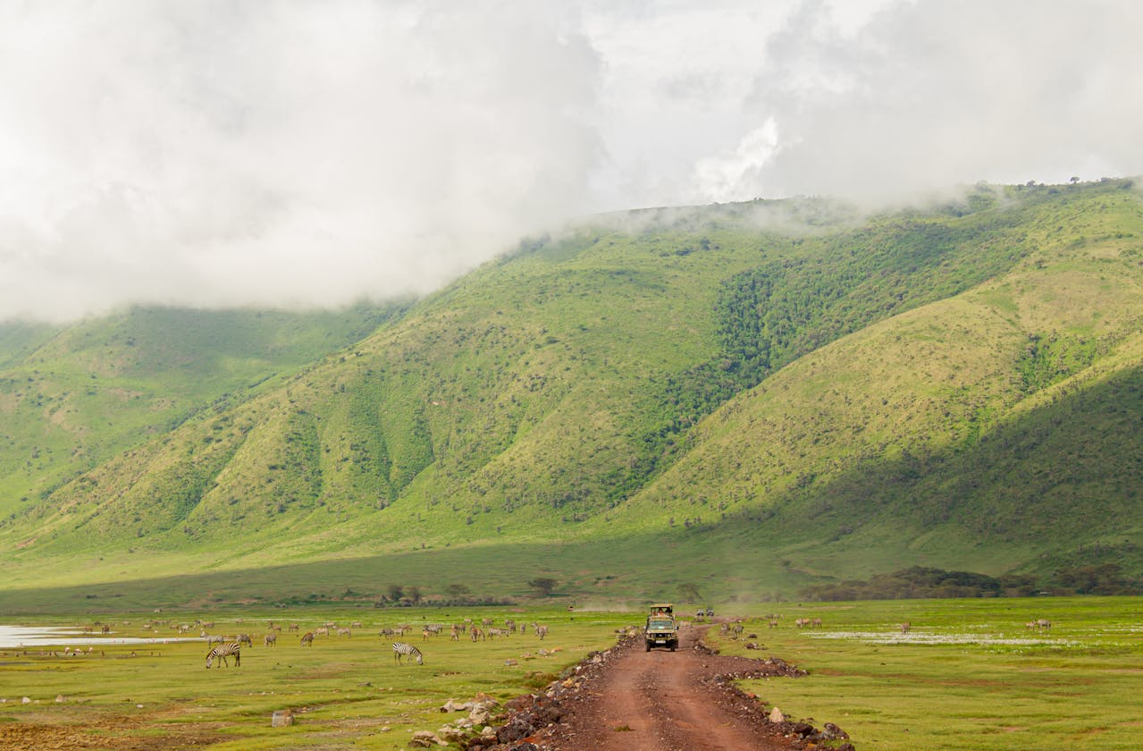Arusha, surrounded by hills and coffee plantations